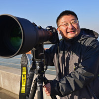 瑶海骏马