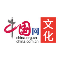 中国网文化