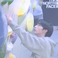 凡不是林的追星日记