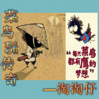 菜鸟玩传奇