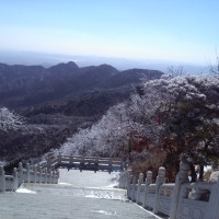 泽九段