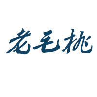 老毛桃winpe