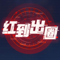 红到出圈