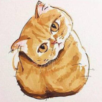 爱猫