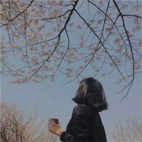 体坛大咖lu
