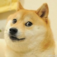 小翔爱游戏