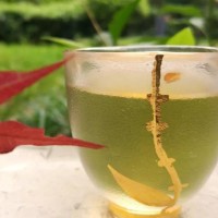 新茶媒