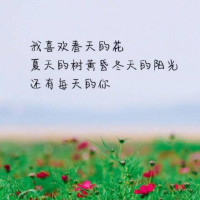 爱丽宝