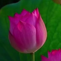 深拥梦语影视解说