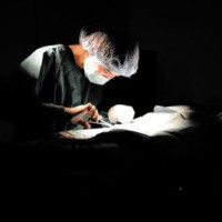 眼视光医生Doctor
