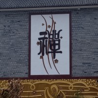POLO霸道