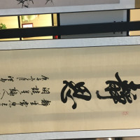 鱼聊娱乐官