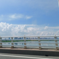 快乐的小菲兹