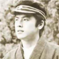 风之闪翼