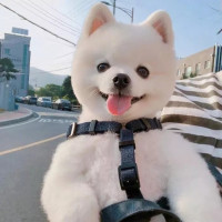 小书生文史烩