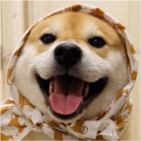 李敬红爱生活