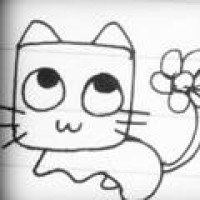  环球科学猫