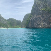 彼岸花水覆流年