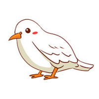 军宝鸽苑