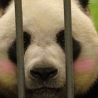 乱码的旅行故事