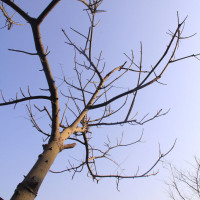 丫头爱生活a