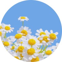 小北爱壁纸