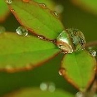 光阴的繁花盛开