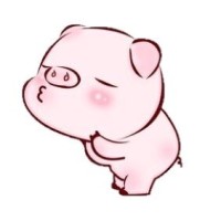 爱玩的小菠萝
