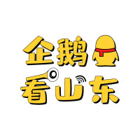 企鹅看山东