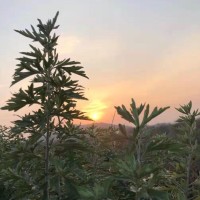 善待自己不负此生