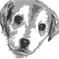 狗七的世界