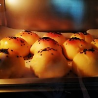 营食参将