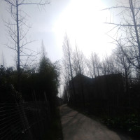 心起续写传奇啊