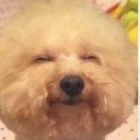 笑不露痴