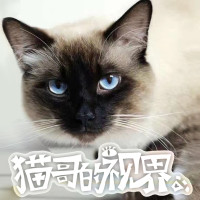 花猫哥哥713