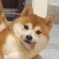 小孙还要努力