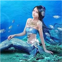 吉庆有娱