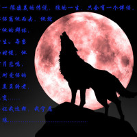 小枫说游戏