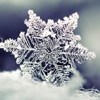 营养师雪姐姐