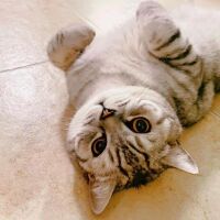 会投稿的小钱编辑