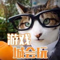 游戏城会玩2017