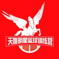 天唯明星篮球训练营