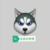 爱踩盘的他爸