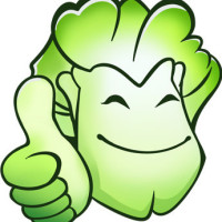 大白菜装机