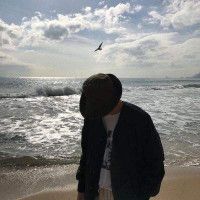 炎枫解说