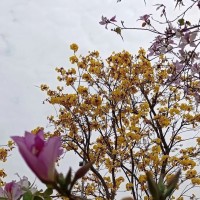 金融范儿