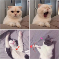麻醉说游戏